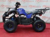 Электроквадроцикл Profi HB EATV 1000D