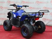 Электроквадроцикл Profi HB EATV 1000D