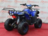 Электроквадроцикл Profi HB EATV 1000D