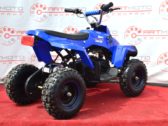 Электроквадроцикл Sport Energy X-1 800W