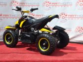 Электроквадроцикл Sport Energy F-1 800W