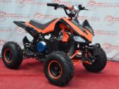 Электроквадроцикл Sport Energy F-1 1000w