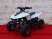 Детский Квадроцикл Sport Energy N-1 110