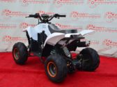 Детский Квадроцикл Sport Energy N-1 110