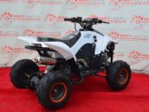 Детский Квадроцикл Sport Energy N-1 110