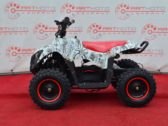 Электроквадроцикл Sport Energy N-1 800W