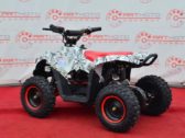 Электроквадроцикл Sport Energy N-1 800W