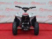 Электроквадроцикл Sport Energy N-1 800W