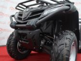 Квадроцикл CFMoto CForce 450L Base