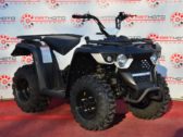 Квадроцикл Linhai-Yamaha M150