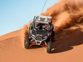 Крыша Polaris RZR 1000 Graphic Sport Roof