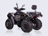Квадроцикл Linhai LH 300 ATV-3D 4×4