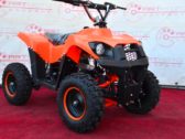 Электроквадроцикл Sport Energy Profi M 800W