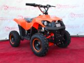 Электроквадроцикл Sport Energy Profi M 800W