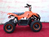 Электроквадроцикл Sport Energy Profi M 800W