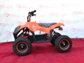 Электроквадроцикл Sport Energy Profi M 800W
