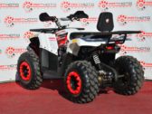 Квадроцикл Forte Braves 200