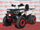 Квадроцикл Forte Braves 200