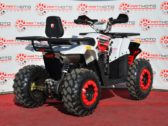 Квадроцикл Forte Braves 200