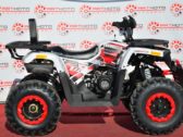 Квадроцикл Forte Braves 200