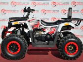 Квадроцикл Forte Braves 200