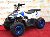 Детский Квадроцикл Comman B5 110