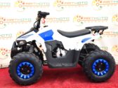 Детский Квадроцикл Comman B5 110