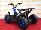 Детский Квадроцикл Comman B5 110