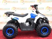 Детский Квадроцикл Comman B5 110