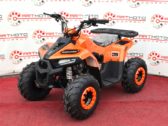 Детский Квадроцикл Comman B5 110