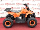 Детский Квадроцикл Comman B5 110