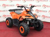 Детский Квадроцикл Comman B5 110