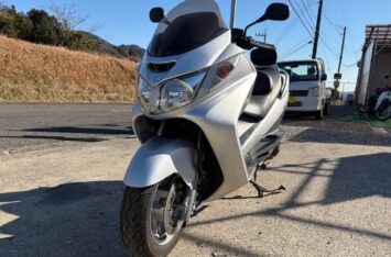 Макси-Скутер Suzuki SKYWAVE 250 Type S CJ43A