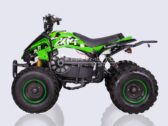 Электроквадроцикл Profi HB-EATV1500Q2