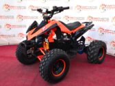 Электроквароцикл Profi HB-EATV1000Q2 б/y