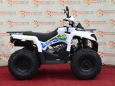 Квадроцикл Hamer 200 L