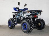 Детский Квадроцикл Forte ATV 125 L