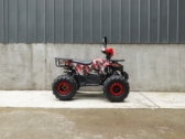 Детский Квадроцикл Forte ATV 125 L