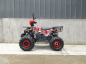 Детский Квадроцикл Forte ATV 125 L
