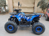 Детский Квадроцикл Forte ATV 125 B