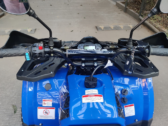 Детский Квадроцикл Forte ATV 125 B