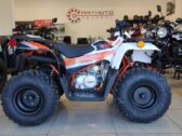 Детский квадроцикл Kayo AU 125