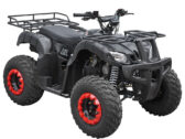 Детский Квадроцикл Spark SP150-4