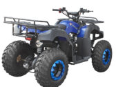Детский Квадроцикл Spark SP150-4