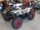 Детский Квадроцикл Forte Hunter 125 б/у
