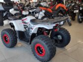 Детский Квадроцикл Forte Hunter 125 б/у