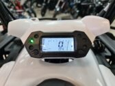 Квадроцикл Linhai M170