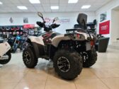 Квадроцикл Linhai LH300ATV-D Promax