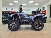 Квадроцикл Denago TGA300 Titan