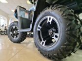 Квадроцикл Denago TGA300 Titan